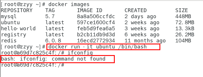 image-20231204084827422