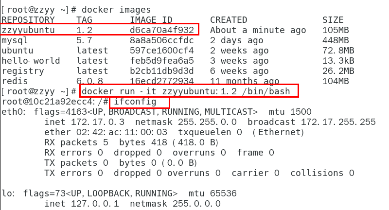 image-20231204085219869