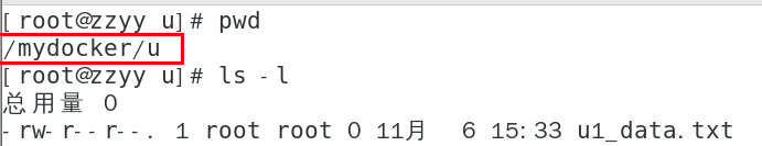 image-20231204164632503