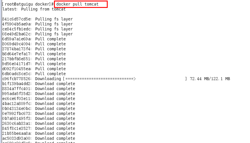 image-20231204171706002