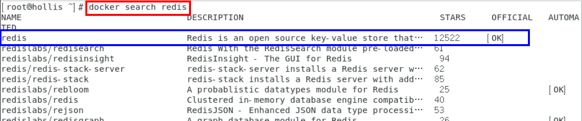 image-20231204172853481