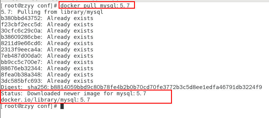 image-20231204175354397