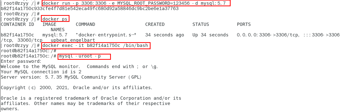 image-20231204175522688