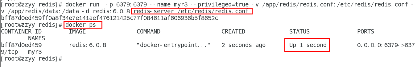 image-20231204231350916