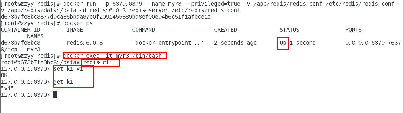 image-20231204231423216