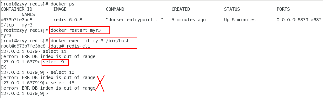 image-20231204231630051