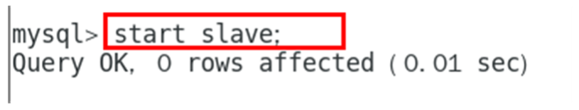 image-20231205213950814