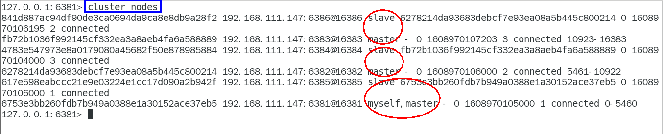 image-20231207114112023