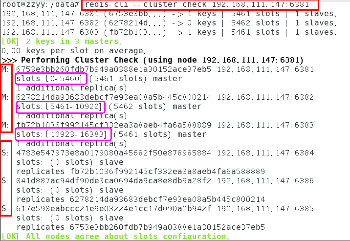 image-20231207115320779