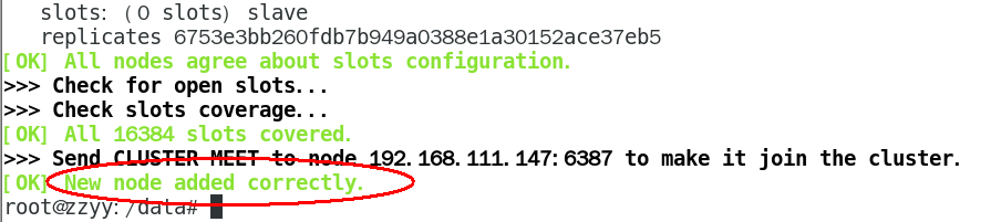 image-20231207142033794