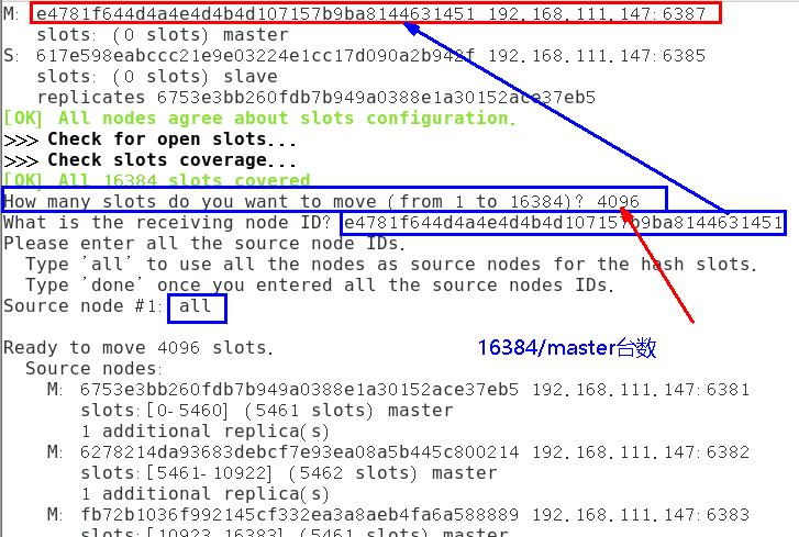 image-20231207145444258