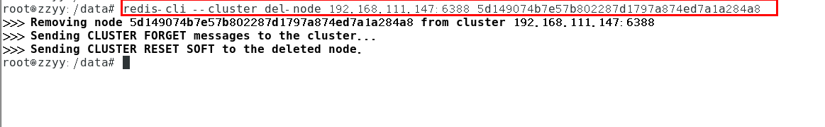 image-20231207151416669