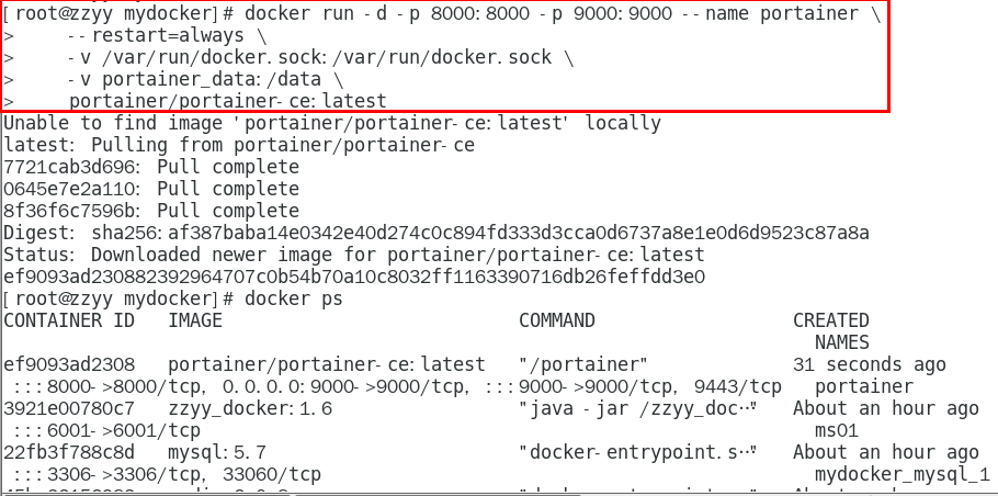 image-20231208233142623