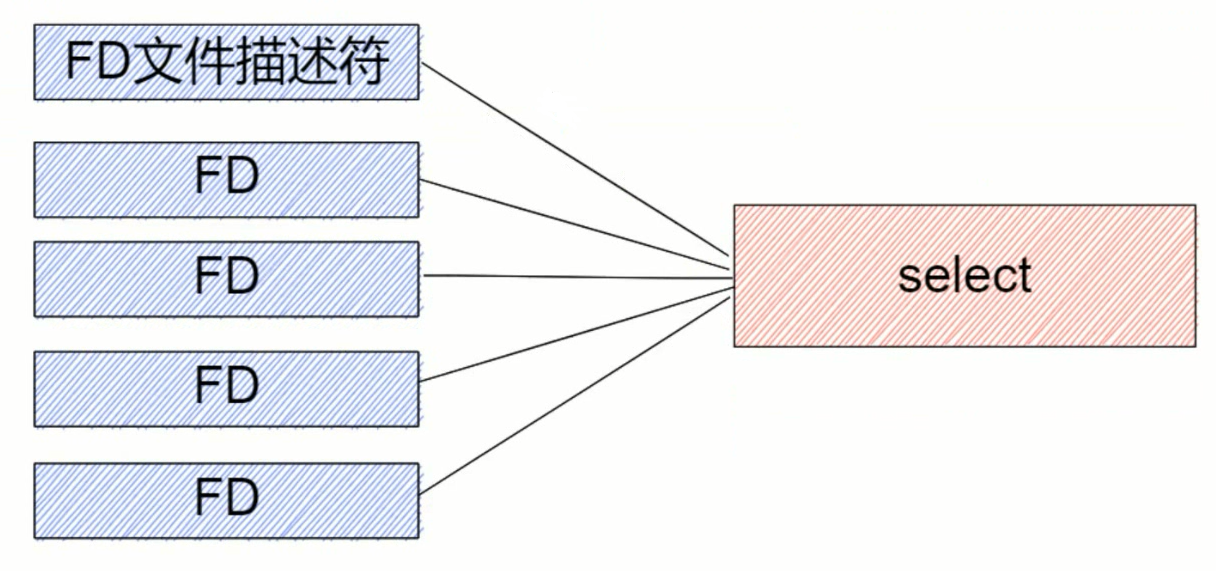 image-20231116222102513